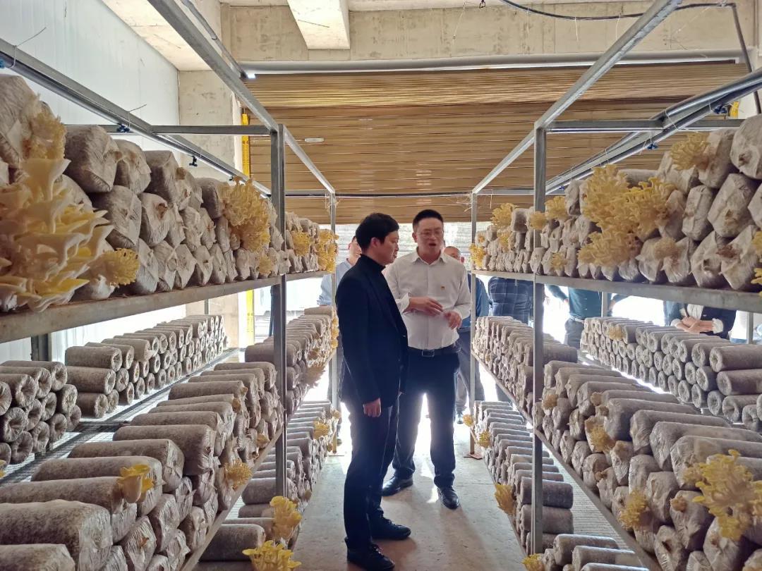 1457511661310820353.jpg 1457511661310820353.jpg