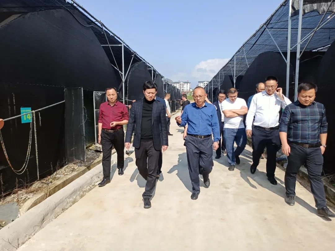 1457511764297760770.jpg 1457511764297760770.jpg