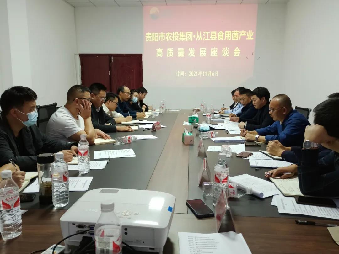 1457511817095659521.jpg 1457511817095659521.jpg