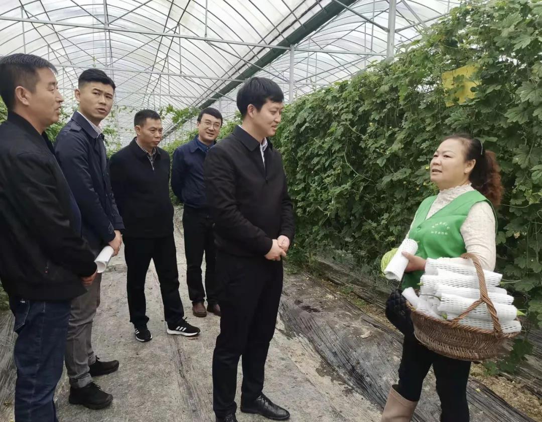 1465494385946488833.jpg 1465494385946488833.jpg