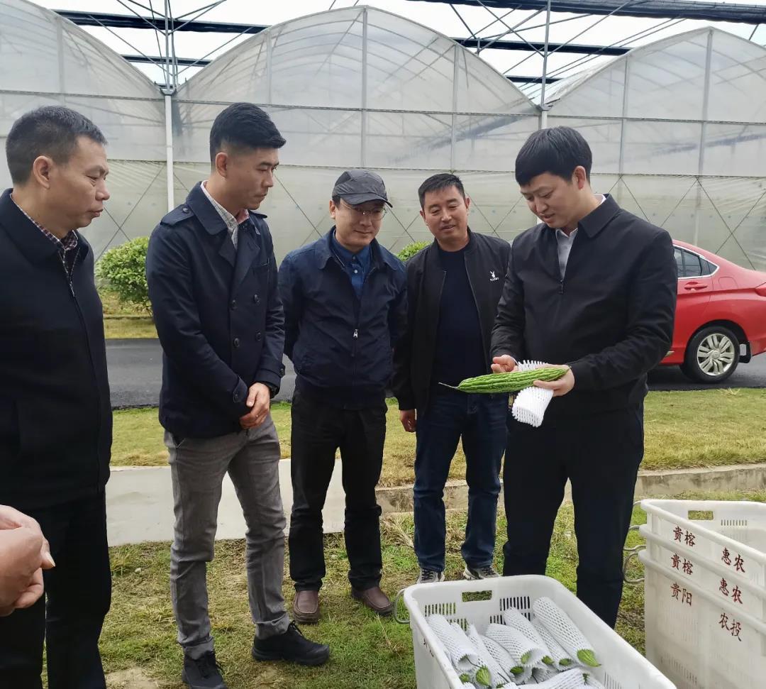 1465494543698456577.jpg 1465494543698456577.jpg