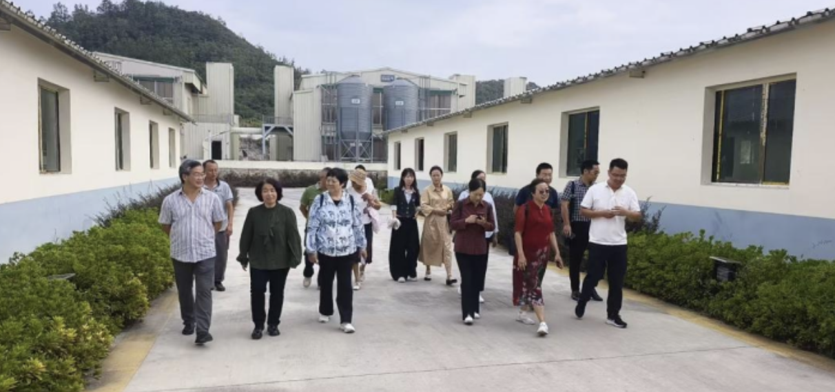 3afd0828-0c93-4c1f-be72-841eb4d1377d.png 3afd0828-0c93-4c1f-be72-841eb4d1377d.png