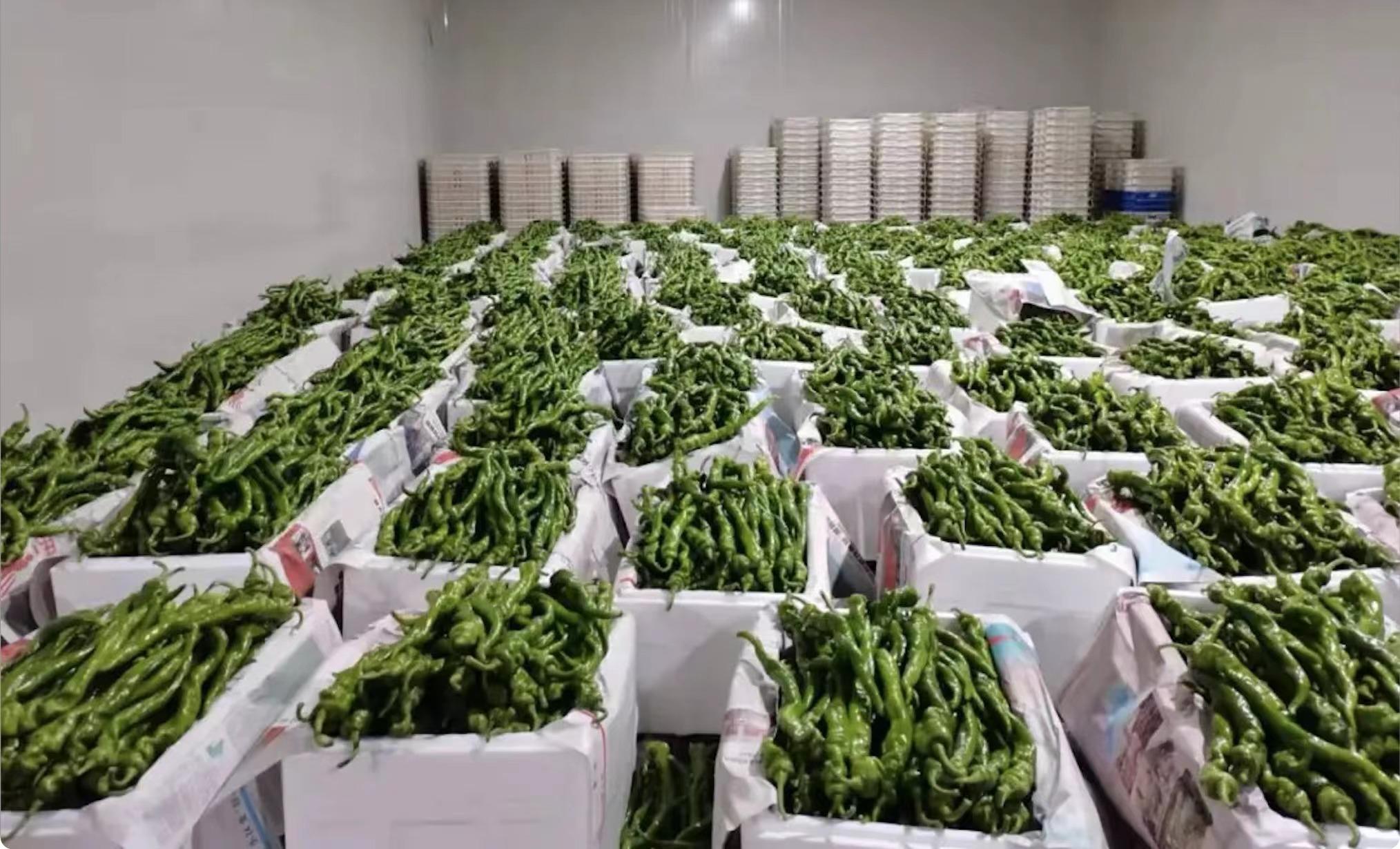 073fe2b5-9aa4-43f7-85df-d6811c8f4cc0.jpeg 073fe2b5-9aa4-43f7-85df-d6811c8f4cc0.jpeg