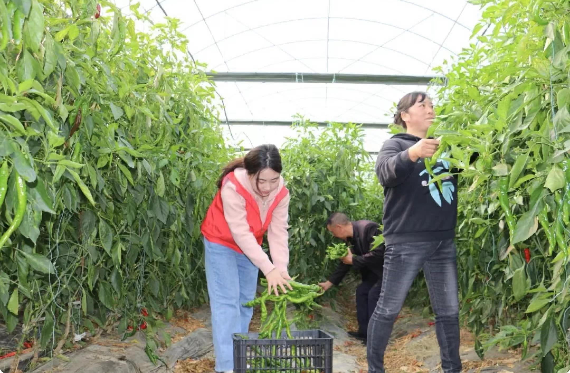 d7b68769-c80b-404f-9731-45857287edb6.jpeg d7b68769-c80b-404f-9731-45857287edb6.jpeg