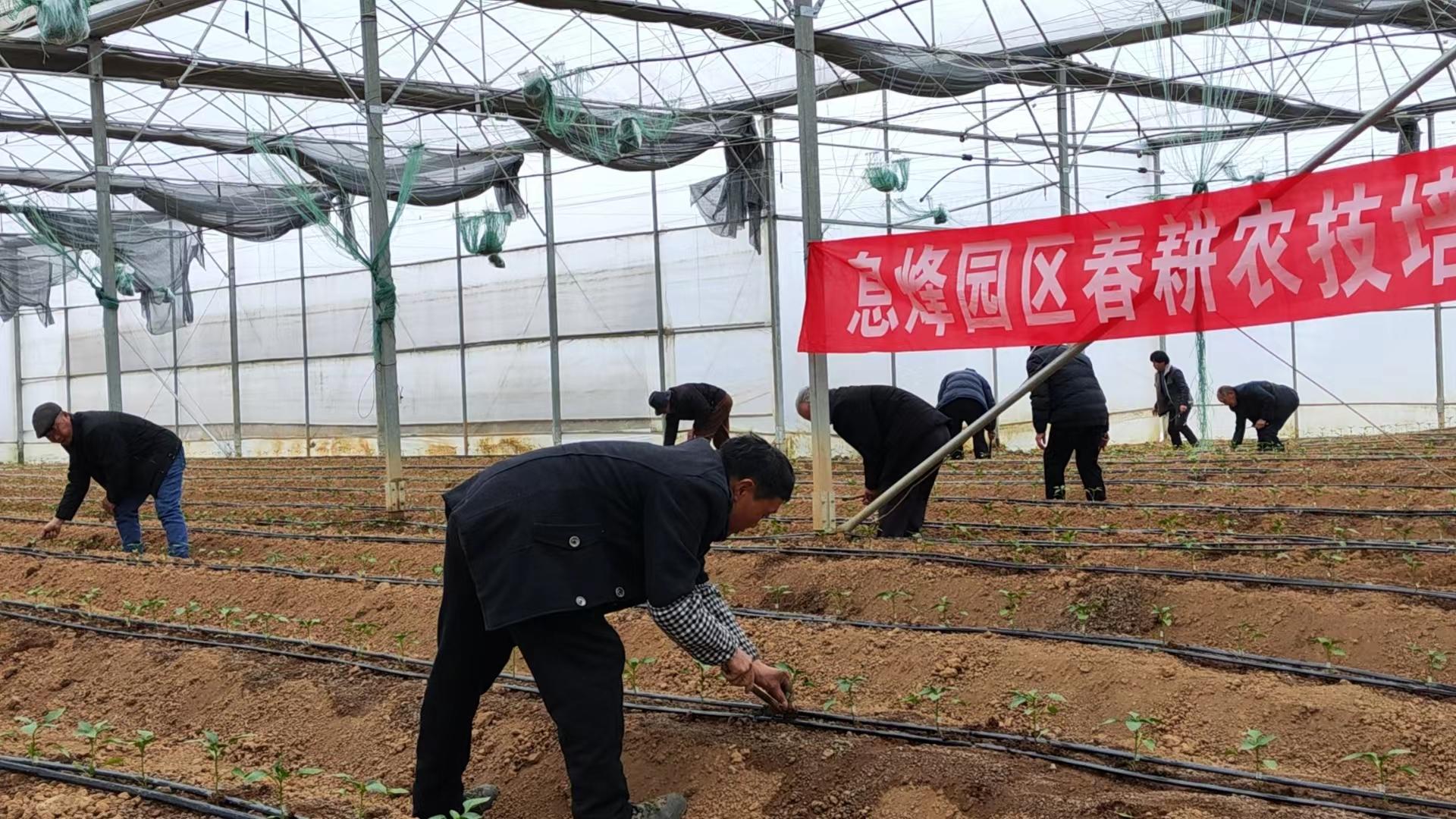 7b86bb53-4762-4362-abf9-21e8dcae0b6d.jpg 7b86bb53-4762-4362-abf9-21e8dcae0b6d.jpg