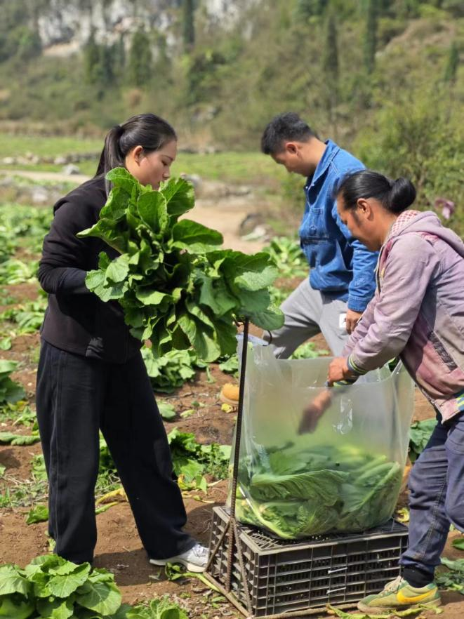 d704a55b-75e9-43ed-a119-a0f6c5403f4d.png d704a55b-75e9-43ed-a119-a0f6c5403f4d.png